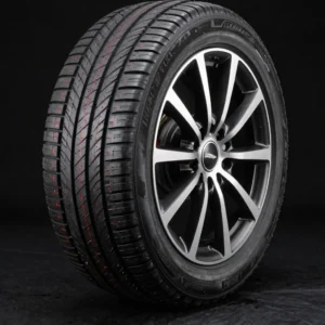 CityCruiser Standard Passenger Tire